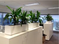 Affordable Plant Hire in Melbourne image 1